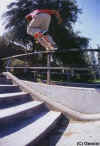 kostonbsnoseslide.jpg (31169 bytes)