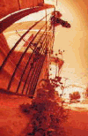 p5.gif (21437 bytes)
