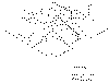 funovwhi.gif (19949 bytes)