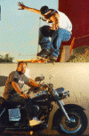 show6.gif (146222 bytes)
